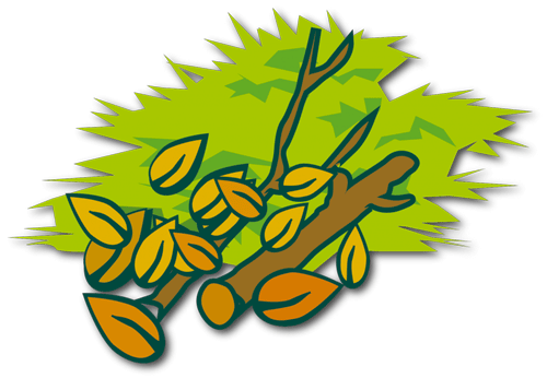 logo dechets verts
