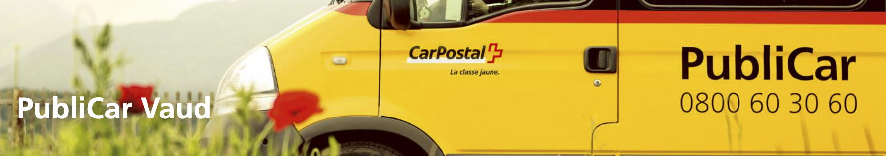 logo publicar